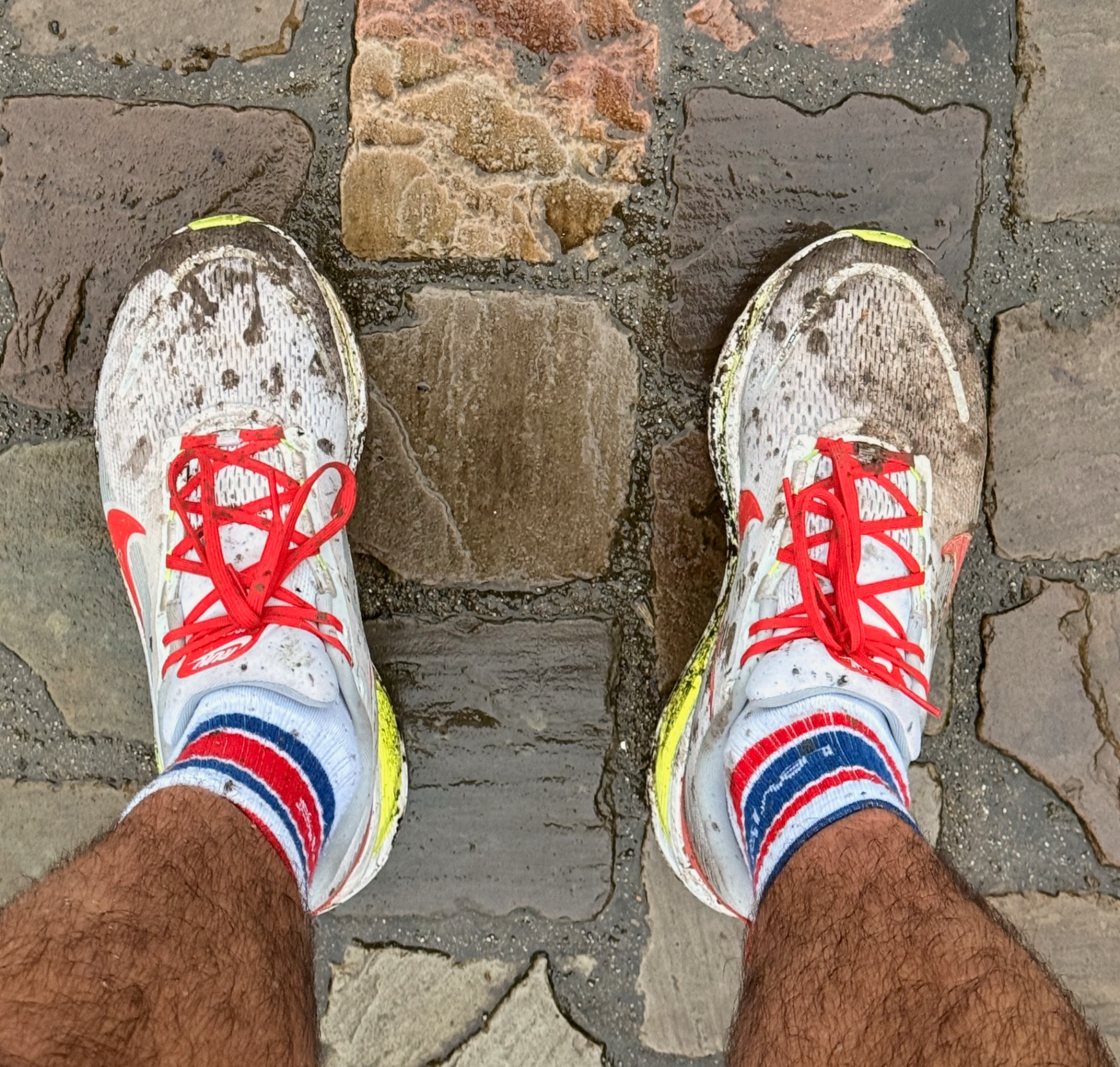 Chaussures de trail